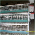 New Design Chicken Transport Cages with Best Price